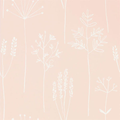 Stipa 112018